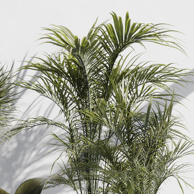 indoor plant set 72 — Ver 4