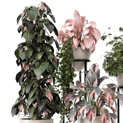 Indoor Plants in rusty Concrete Pot on Metal Shelf - Set 964 — Ver 4