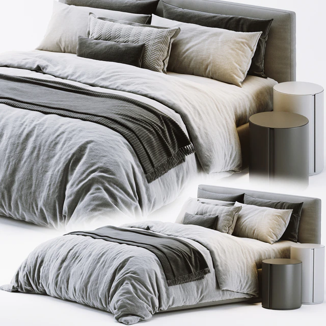Meridiani Stone Bed — Скачать