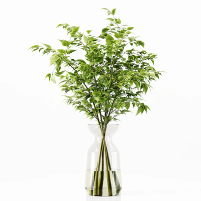 Collection Indoor Plants 034 — Ver 5