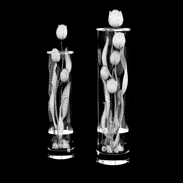 Tulips — Descargar