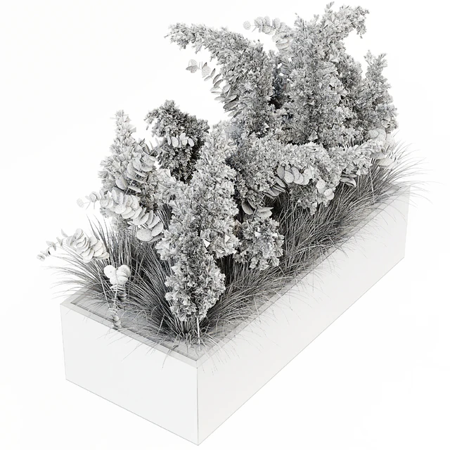 Indoor Pampas Plant 02 — Скачать