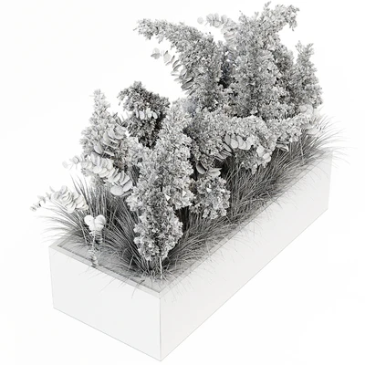 Indoor Pampas Plant 02 — Вид 2