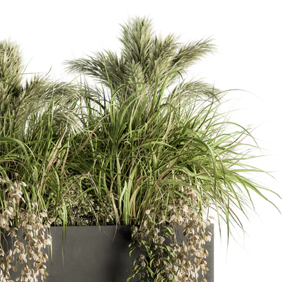 Outdoor Plants tree in Plant box - Set 124 — Вид 3