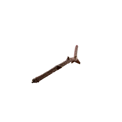 tree debris 009 — Descargar