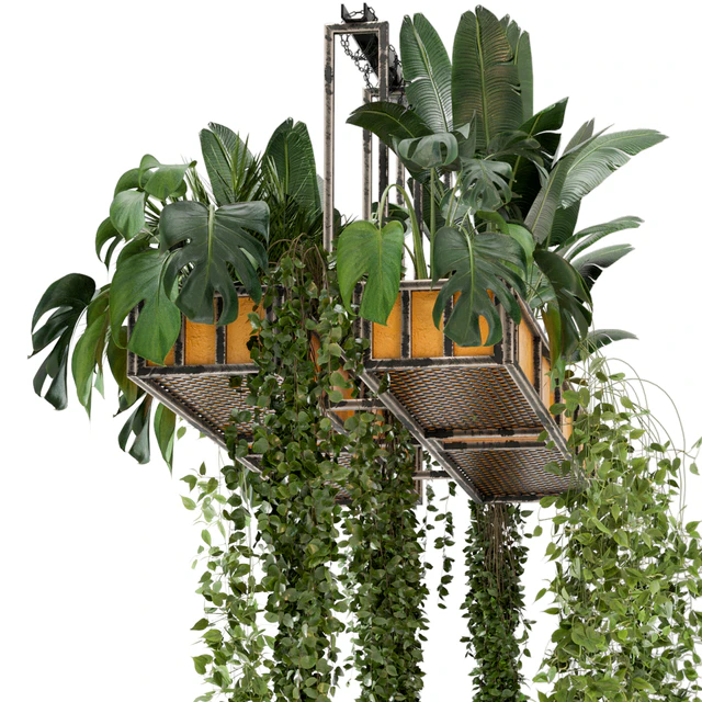 Indoor Hanging Plants in Metal Box - Set 146 — Descargar