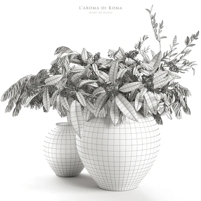 L'aroma di Roma — Ver 5