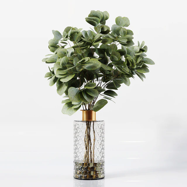 Collection Indoor Plants 041 — Скачать