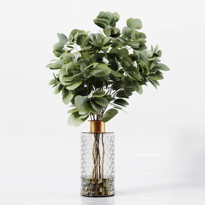 Collection Indoor Plants 041 — Вид 7
