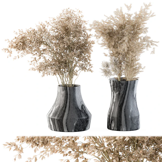Dry plants 43 - Dried Plant Pampas — Descargar