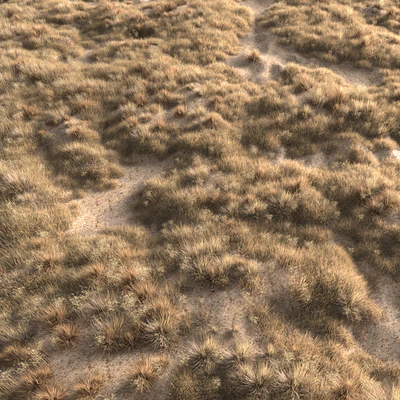 Dried grass — Вид 3