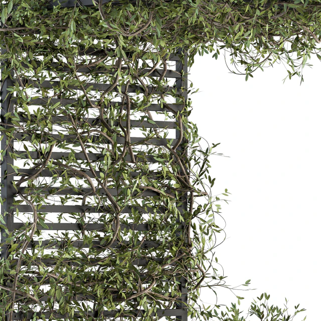 Garden set ivy and Bush - Garden Set 13 — Descargar