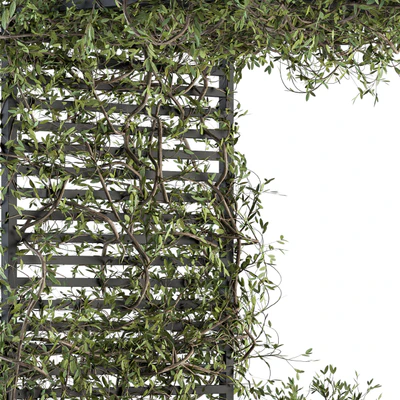 Garden set ivy and Bush - Garden Set 13 — Ver 4