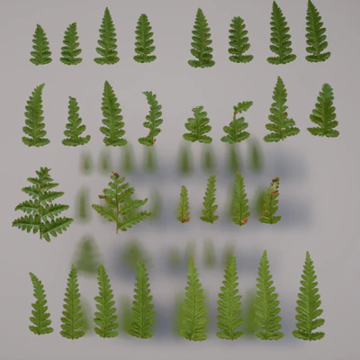 wood fern set — download