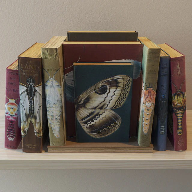 Books set "Butterflys" — Descargar