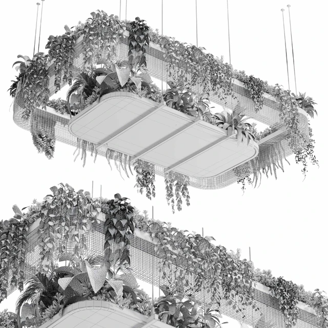 Hanging plants - indoor plant 323 corona — Descargar