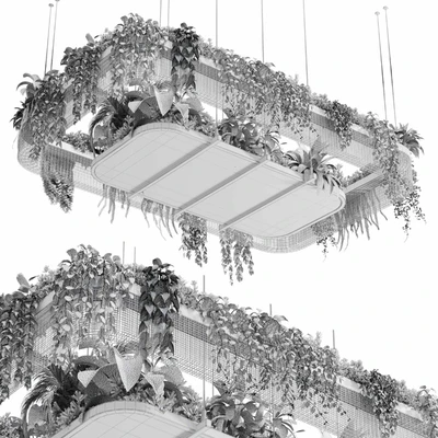 Hanging plants - indoor plant 323 corona — Ver 3