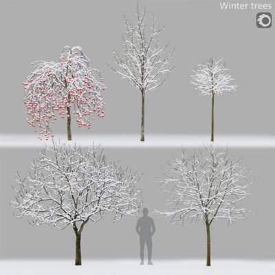 Winter trees # 1 — Ver 1