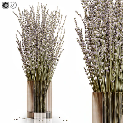Dry flowers 5 lavender — Вид 1