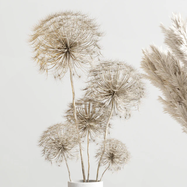 bouquet 13 concrete vse plant pampas and dry hogweed dry leaves — Скачать