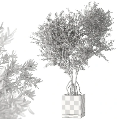 Indoor living plant in a pot 05 — Ver 5