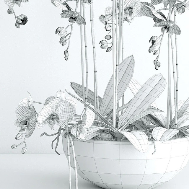 Orchid 2 — Descargar