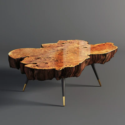 Wood slab coffee table — Ver 1