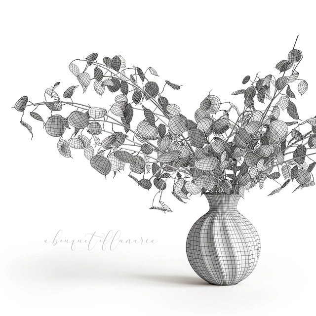 A bouquet of lunaria — Скачать