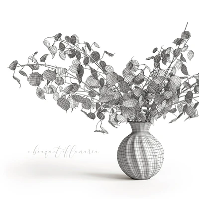 A bouquet of lunaria — Вид 5