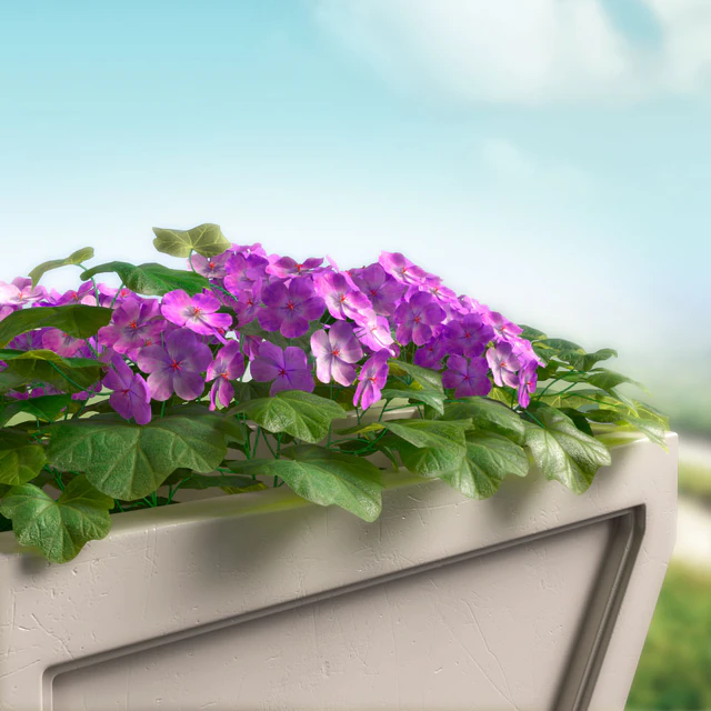Letterbox, Set-1 — Descargar