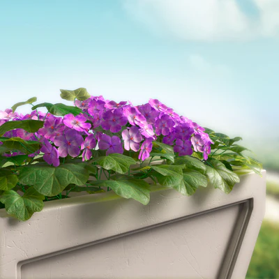 Letterbox, Set-1 — Ver 4