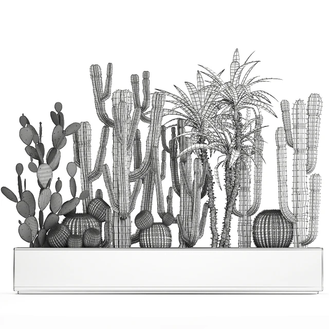 Collection of desert plants in a vase of cacti, prickly pear, Dracaena, carnegie, echinocactus, garden. Set 1096. — Descargar
