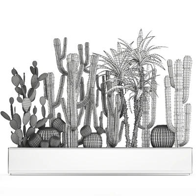 Collection of desert plants in a vase of cacti, prickly pear, Dracaena, carnegie, echinocactus, garden. Set 1096. — Ver 7
