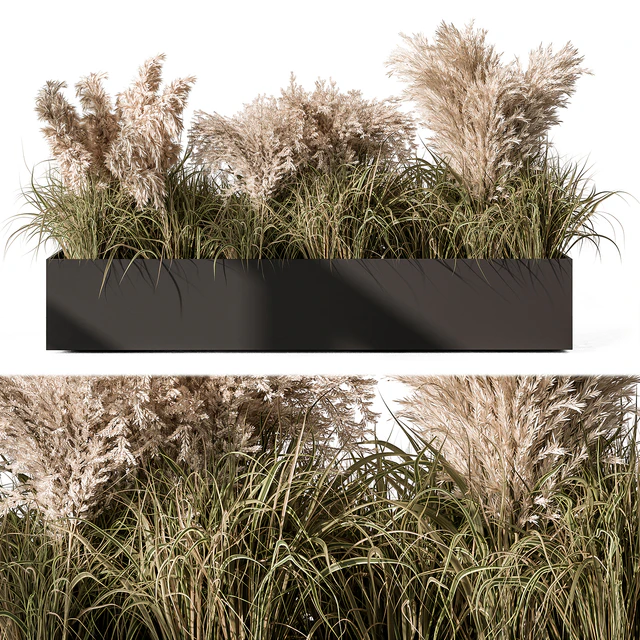 Pampas Plants - Outdoor Plants Set 433 — Descargar