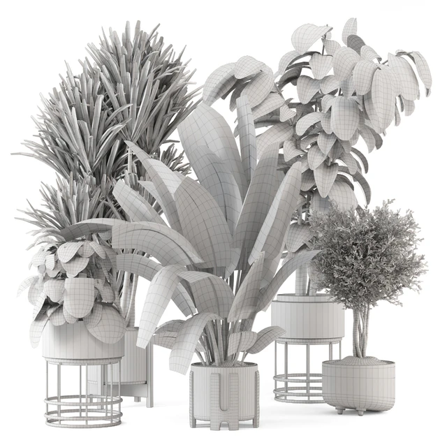 Indoor Plants in Ferm Living Bau Pot Large - Set 1351 — Скачать