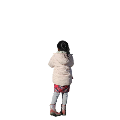 2645 — Скачать