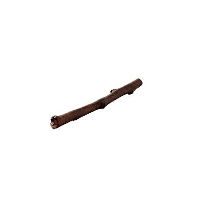 tree debris 008 — Скачать