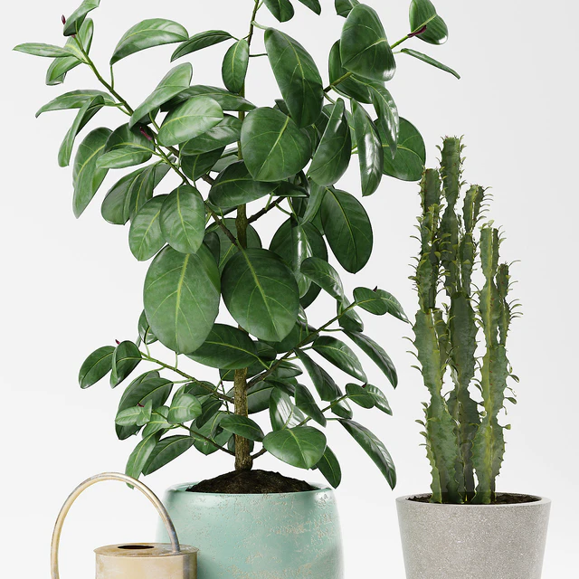 PLANTS 186 — Download
