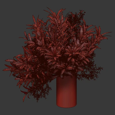 Bouquet of olive branches. — Ver 4