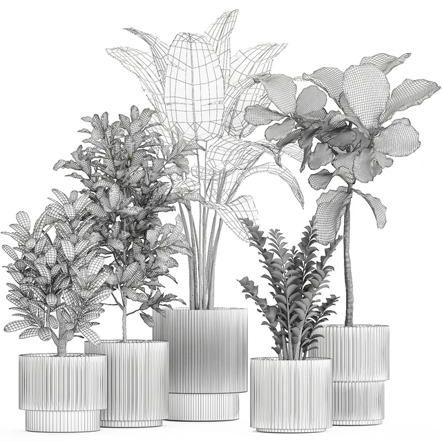 Plant collection 1407 — Descargar