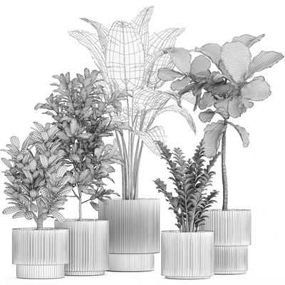 Plant collection 1407 — Ver 5