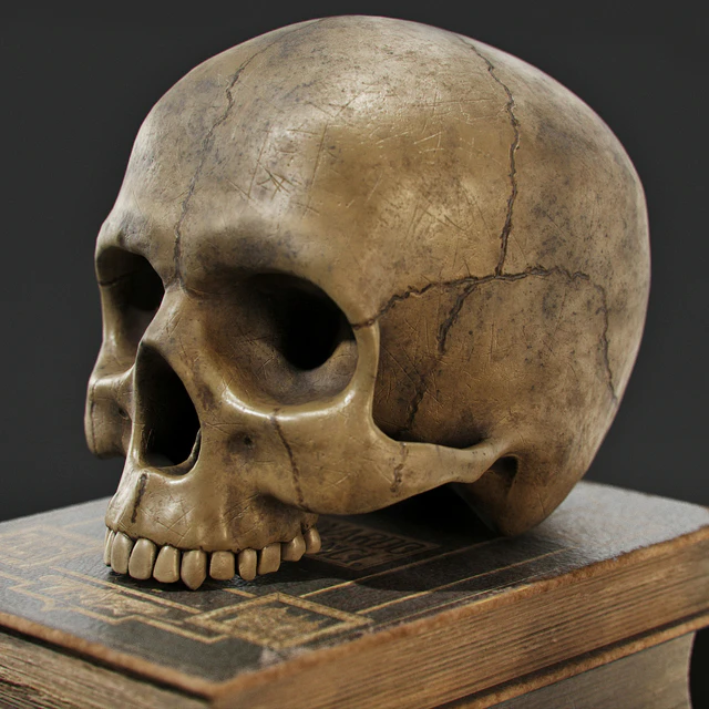 Skull and Books — Download