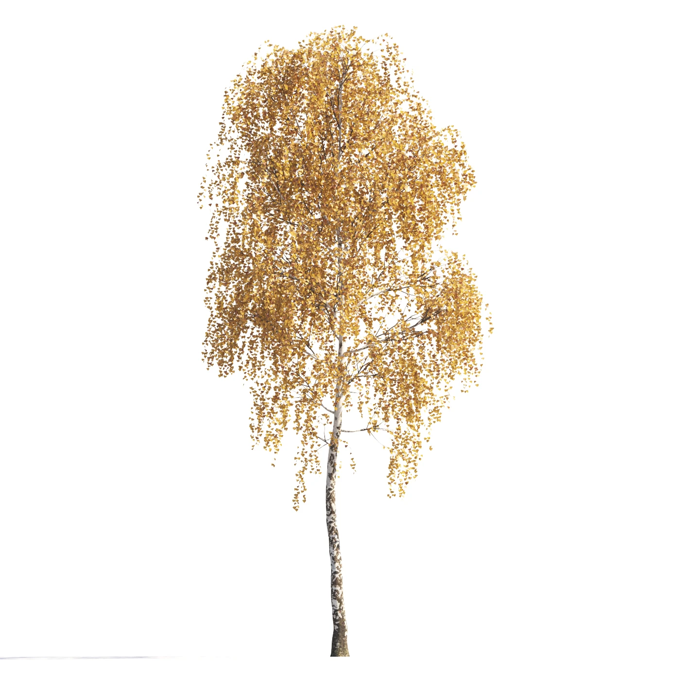 005 autumn — Descargar
