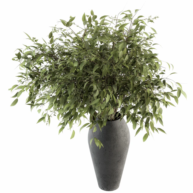Bouquet - Green Branch in vase 45 — Descargar