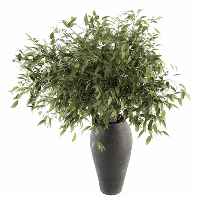 Bouquet - Green Branch in vase 45 — descargar