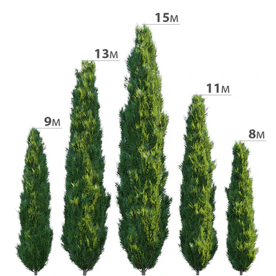 Cypress — Ver 1