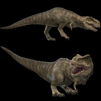Tyrannosaurus rex — Вид 5