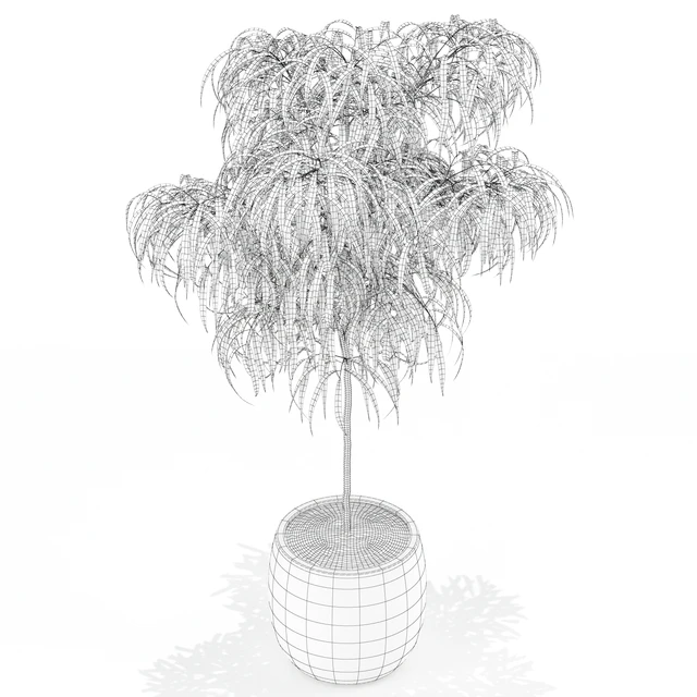 Plants collection 155 — Descargar