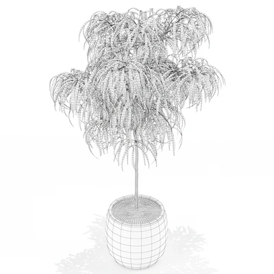 Plants collection 155 — Ver 3