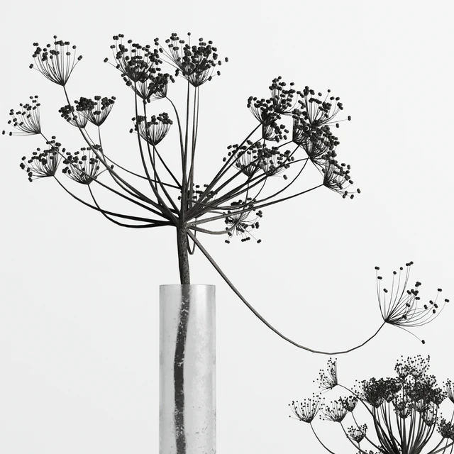 Bouquet Set 01 Vase Glass Dry Hogweed — Скачать